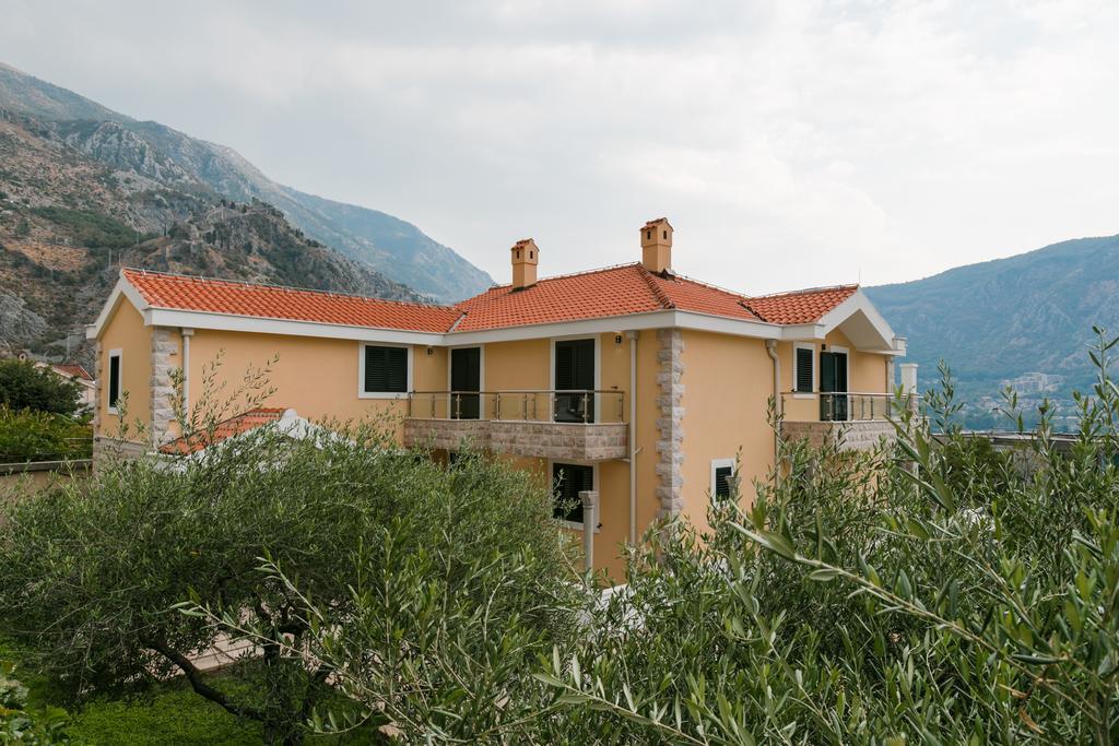 Apartments Los Olivos Kotor Buitenkant foto